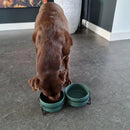 Ceramic Pet Bowl Cat Food Bowl Dog Bowl Drinking Bowl Pet Water Food Dish - Grey