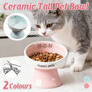 Tall Raised Ceramic Pet Bowl for Cats and Small Dogs in Blue or Pink - Pink