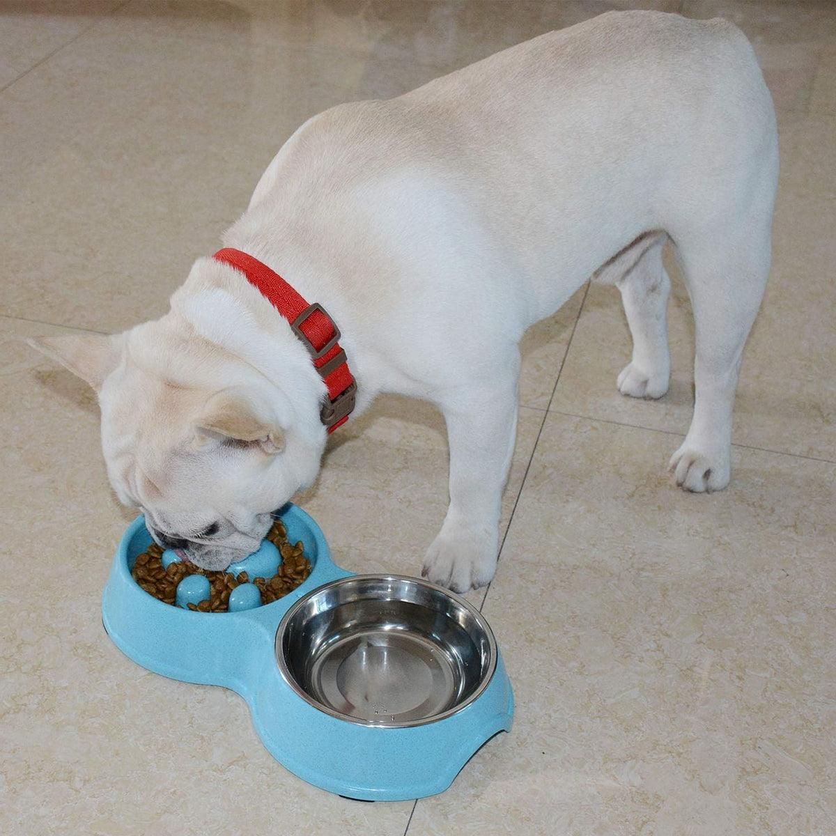 Dog Slow Feeder Double Bowl Pet Food and Water Dish - Pink