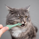 2PCS Pet Toothbrush Double for Dogs Cats Puppies Oral Hygiene Teeth Cleaning - Yellow