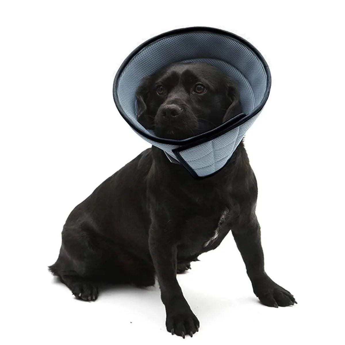 Elizabethan Collar Anti Licking Biting Pet Collar for Cats and Dogs Recovery Use - Grey-Size4
