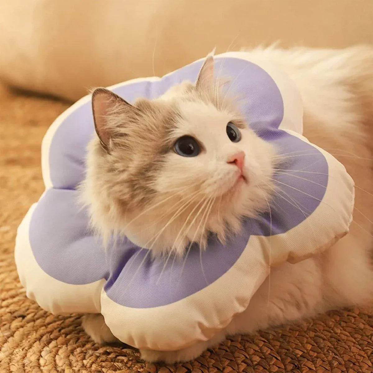 Elizabethan Cat Recovery Collar Anti Licking Pet Cone Protective Neck Ring - Purple-L