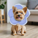 Elizabethan Cat Recovery Collar Anti Licking Pet Cone Protective Neck Ring - Purple-L