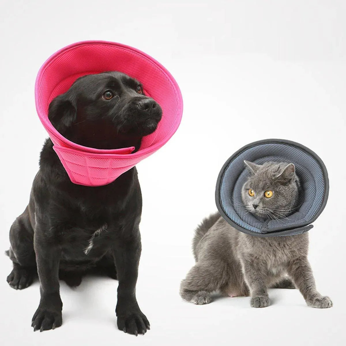 Elizabethan Collar Anti Licking Biting Pet Collar for Cats and Dogs Recovery Use - Rose Red-Size4
