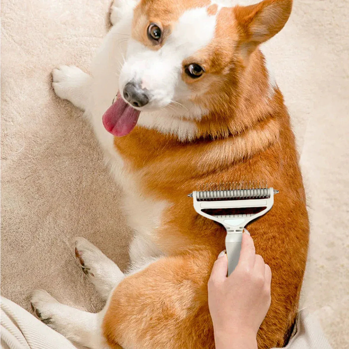 Pet Grooming Brush Hair Removal Anti Tangle Cat Dog Home Detangling Comb Pets - S