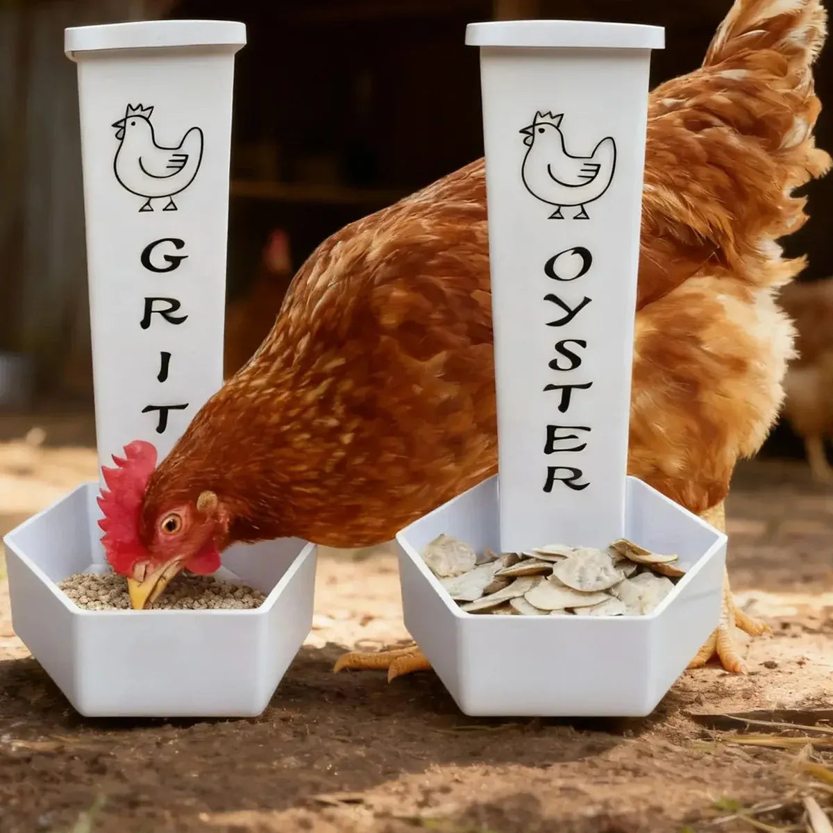 Hanging Chicken Feeder Automatic Refill Chicken Feeder for Hens Poultry Farm