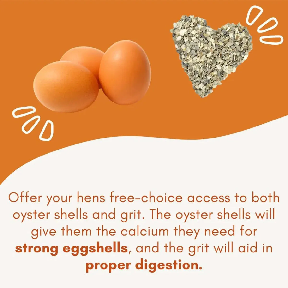 Hanging Chicken Feeder Automatic Refill Chicken Feeder for Hens Poultry Farm