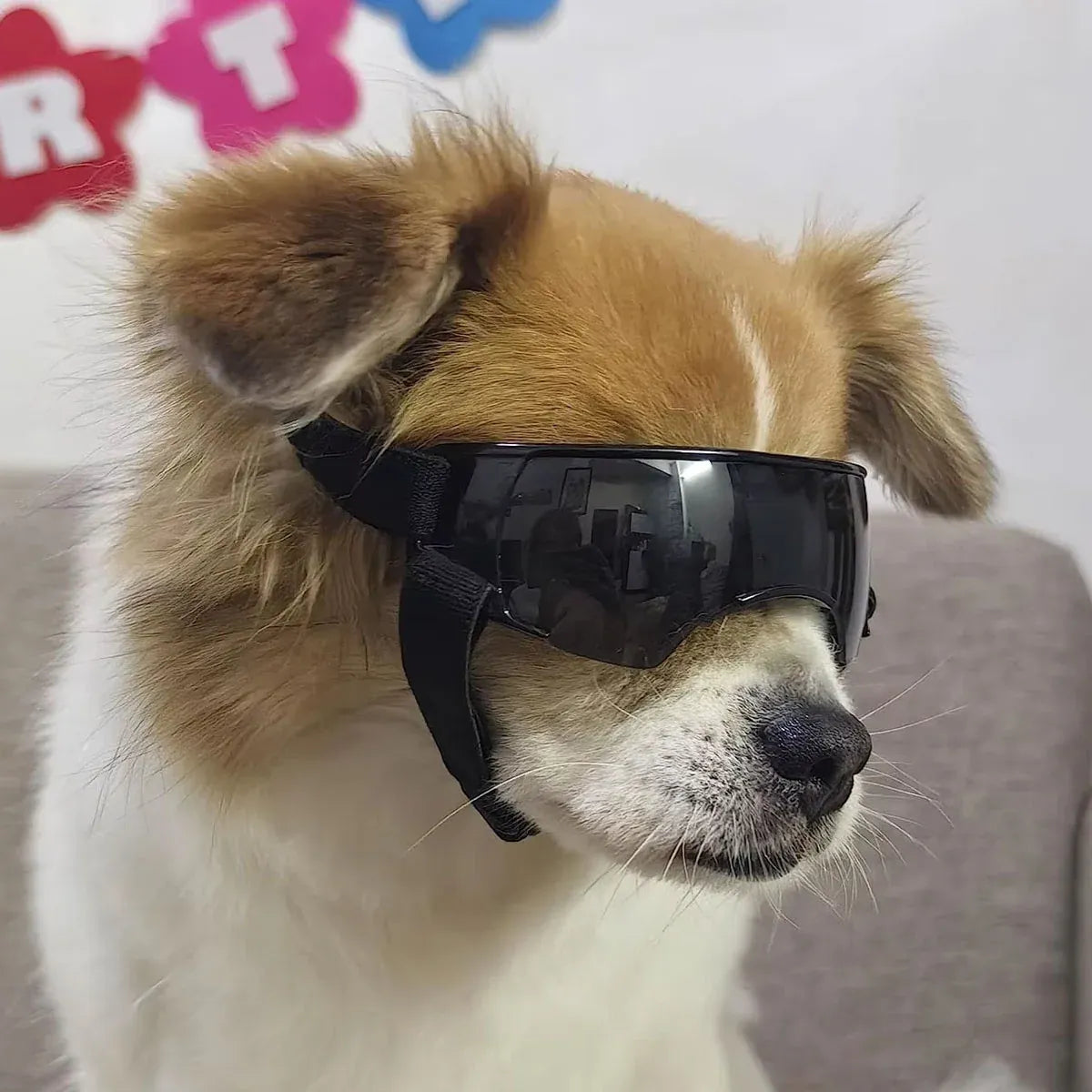 Pet Dog Sunglasses Goggles UV Eye Shield for Small Dogs Outdoor Travel Sunshade - Black