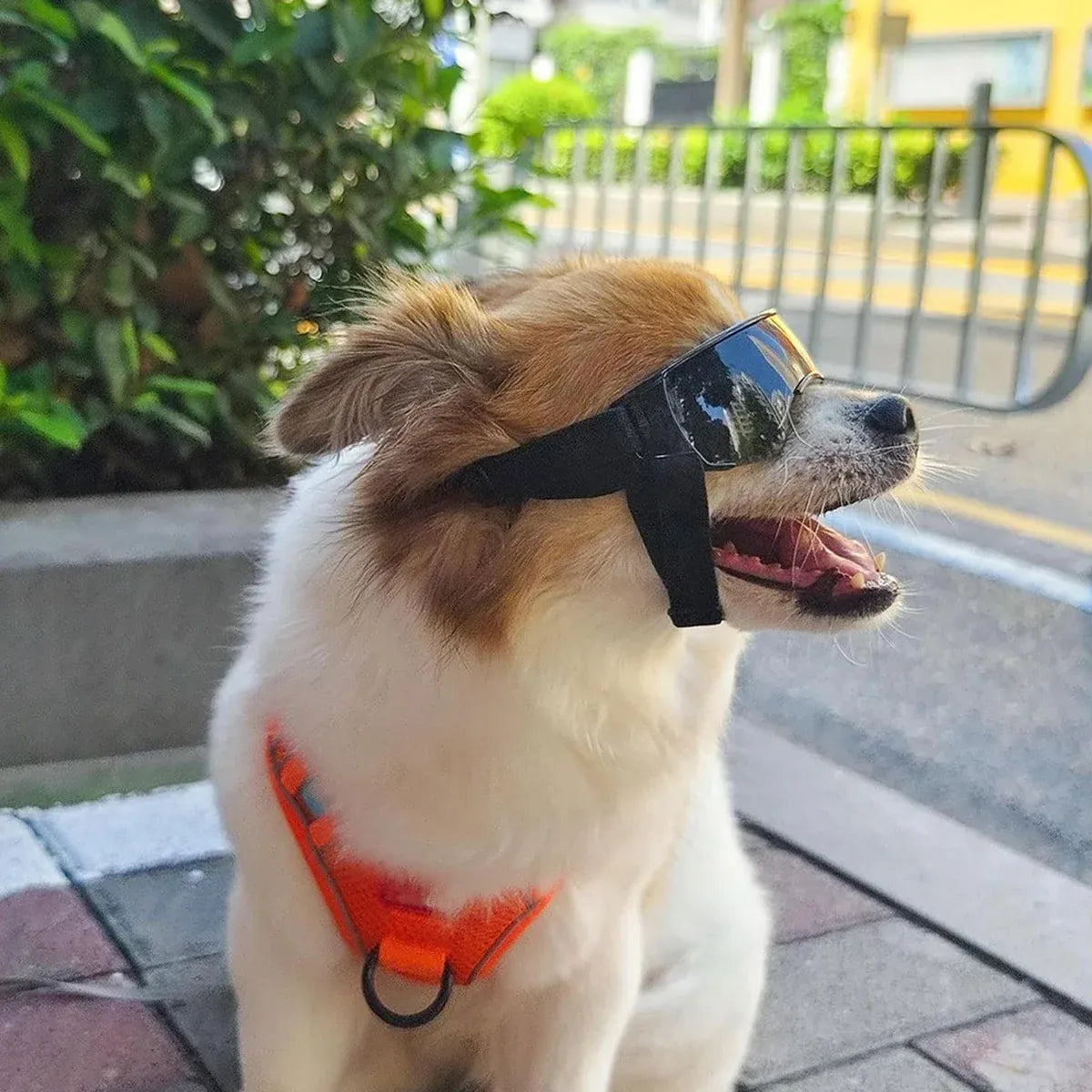 Pet Dog Sunglasses Goggles UV Eye Shield for Small Dogs Outdoor Travel Sunshade - Black