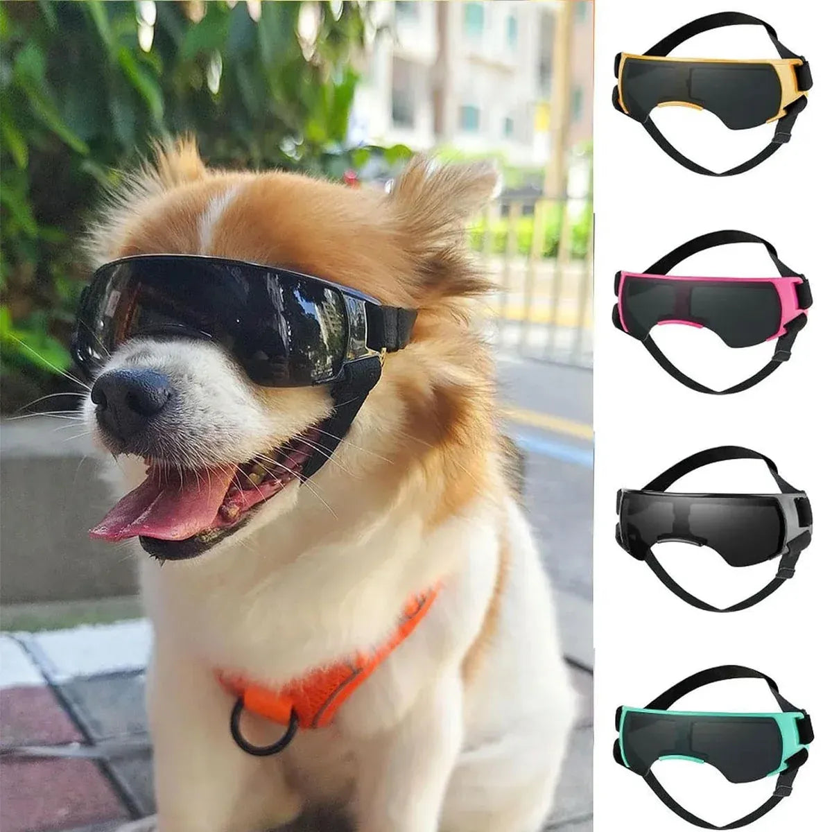 Pet Dog Sunglasses Goggles UV Eye Shield for Small Dogs Outdoor Travel Sunshade - Gold