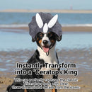 Pet Dinosaur Hat Costume Cute Animal Costume Headwear Durable Soft Comfortable