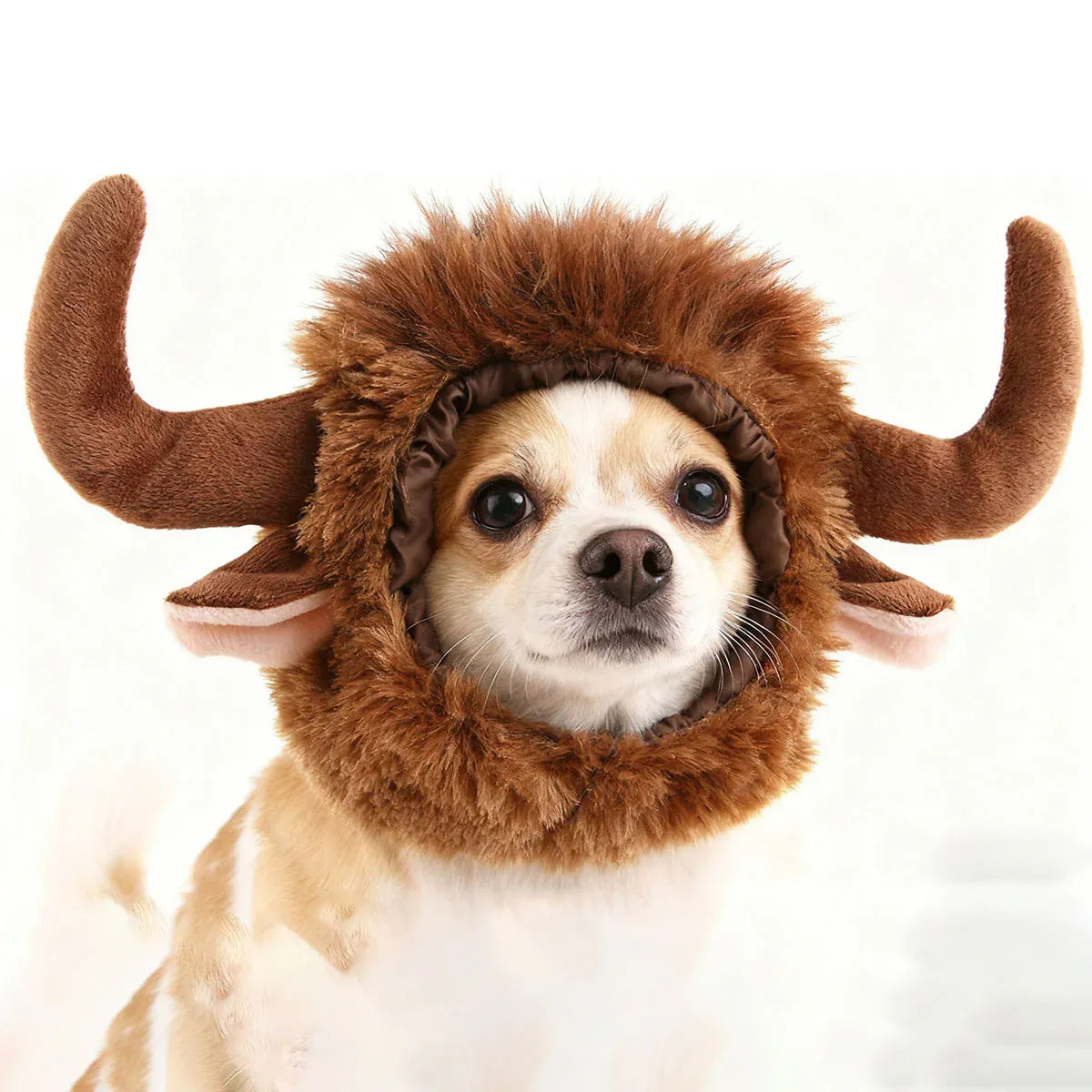 Pet Horn Wigs Headwear Adjustable for Dogs Cats Soft Comfortable Decoration - M