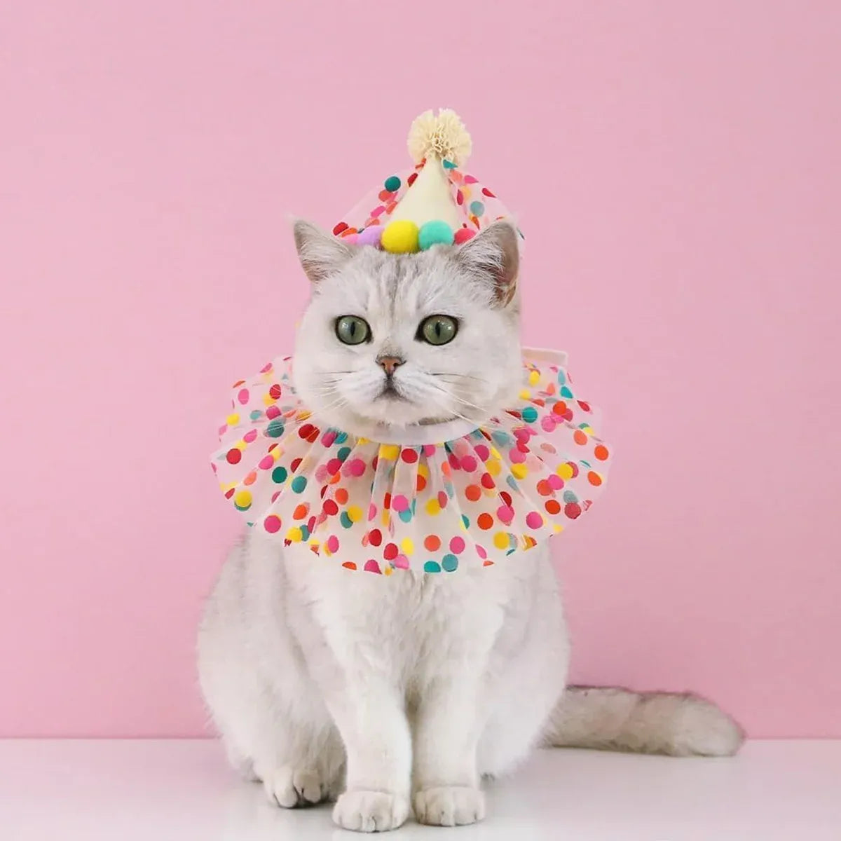 Dog Cat Birthday Dress Bib Felt Hat Party Supplies Drool Towel for Pet Parties - L