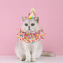 Dog Cat Birthday Dress Bib Felt Hat Party Supplies Drool Towel for Pet Parties - S