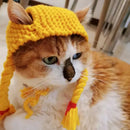 Cat Headwear Handmade Braid Hat Cat Wig Hat Cat Hair Accessory Pet Decoration - Black
