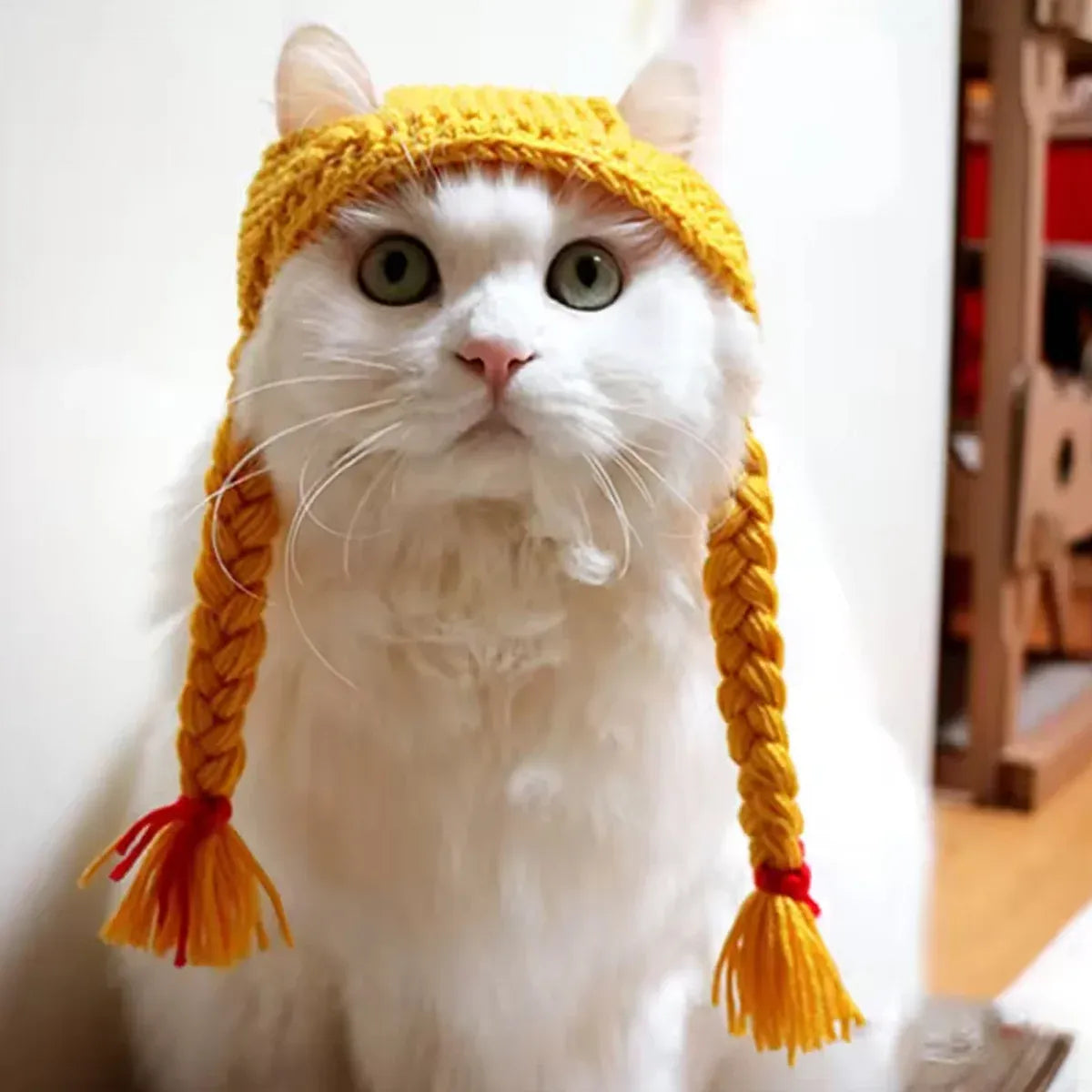 Cat Headwear Handmade Braid Hat Cat Wig Hat Cat Hair Accessory Pet Decoration - Black