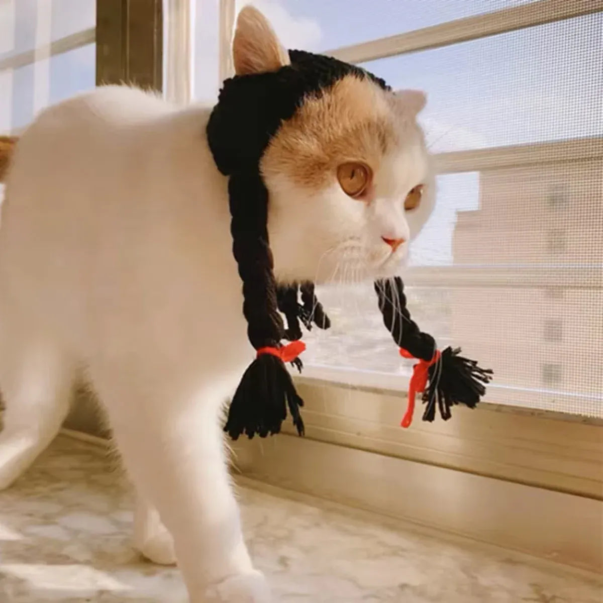Cat Headwear Handmade Braid Hat Cat Wig Hat Cat Hair Accessory Pet Decoration - Black