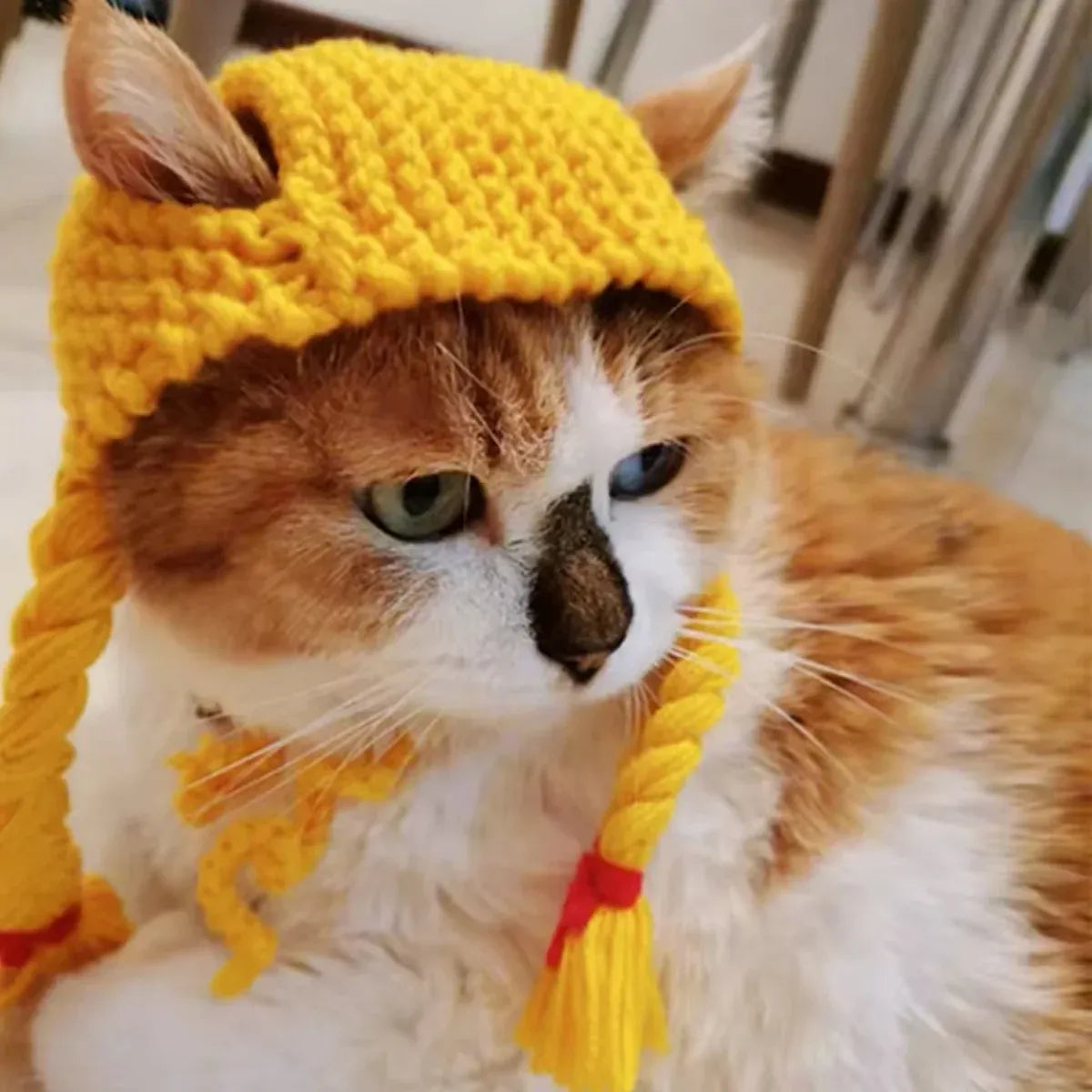 Cat Headwear Handmade Braid Hat Cat Wig Hat Cat Hair Accessory Pet Decoration - Yellow
