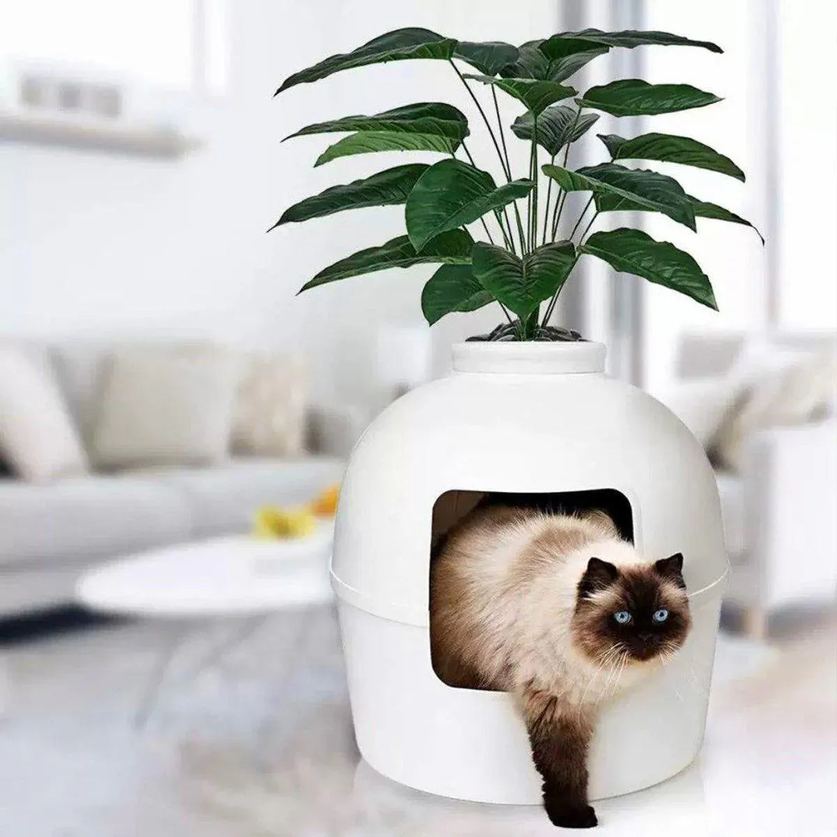Plastic Pet Kennel Small Dog Cat Litter Box Teddy Villa Easy Clean Hair Guard - White