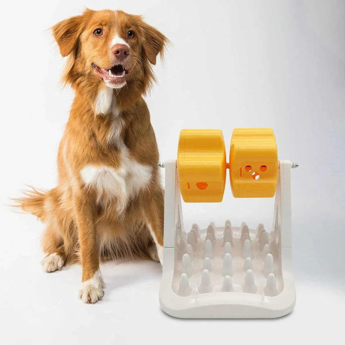 Roller Type Leaky Slow Food Toy Automatic Feeders for Dogs Interactive Playtime - Orange