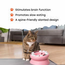 Pet Slow Feeder Interactive Cat Dog Food Dispenser Puzzle Toy for Healthy Eating - Orange