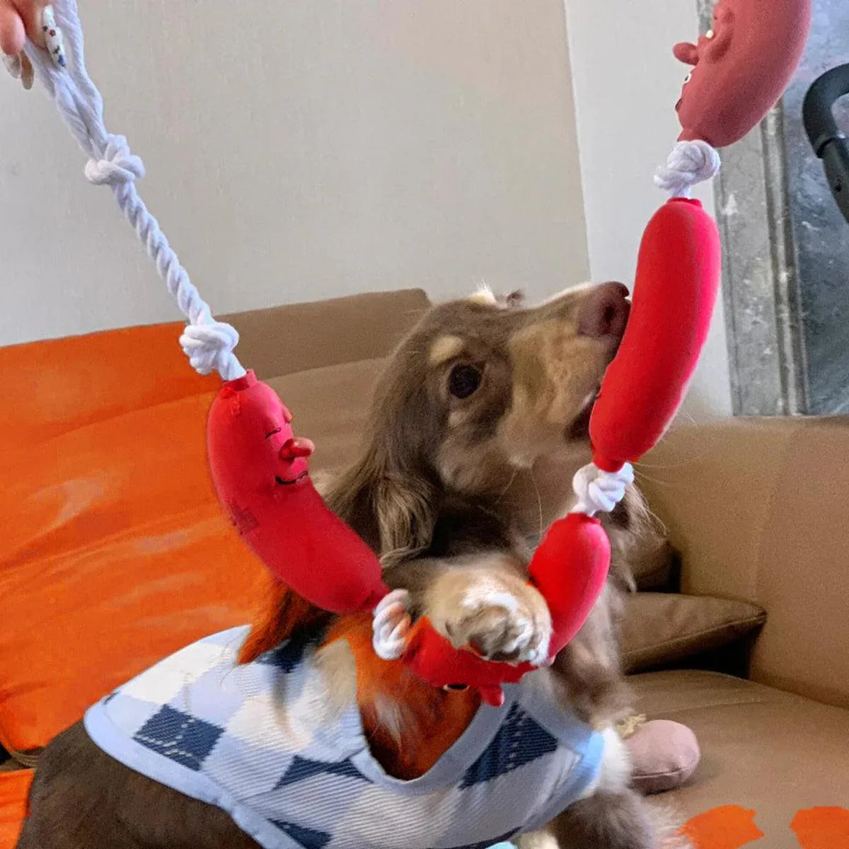 Dachshund Shaped Dog Chew Toy Durable Pet Teeth Cleaning Interactive Play Toy