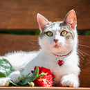 Pet Rhinestone Collar 4PCS Heart Pendant Cat Dog Adjustable 16.5-26cm
