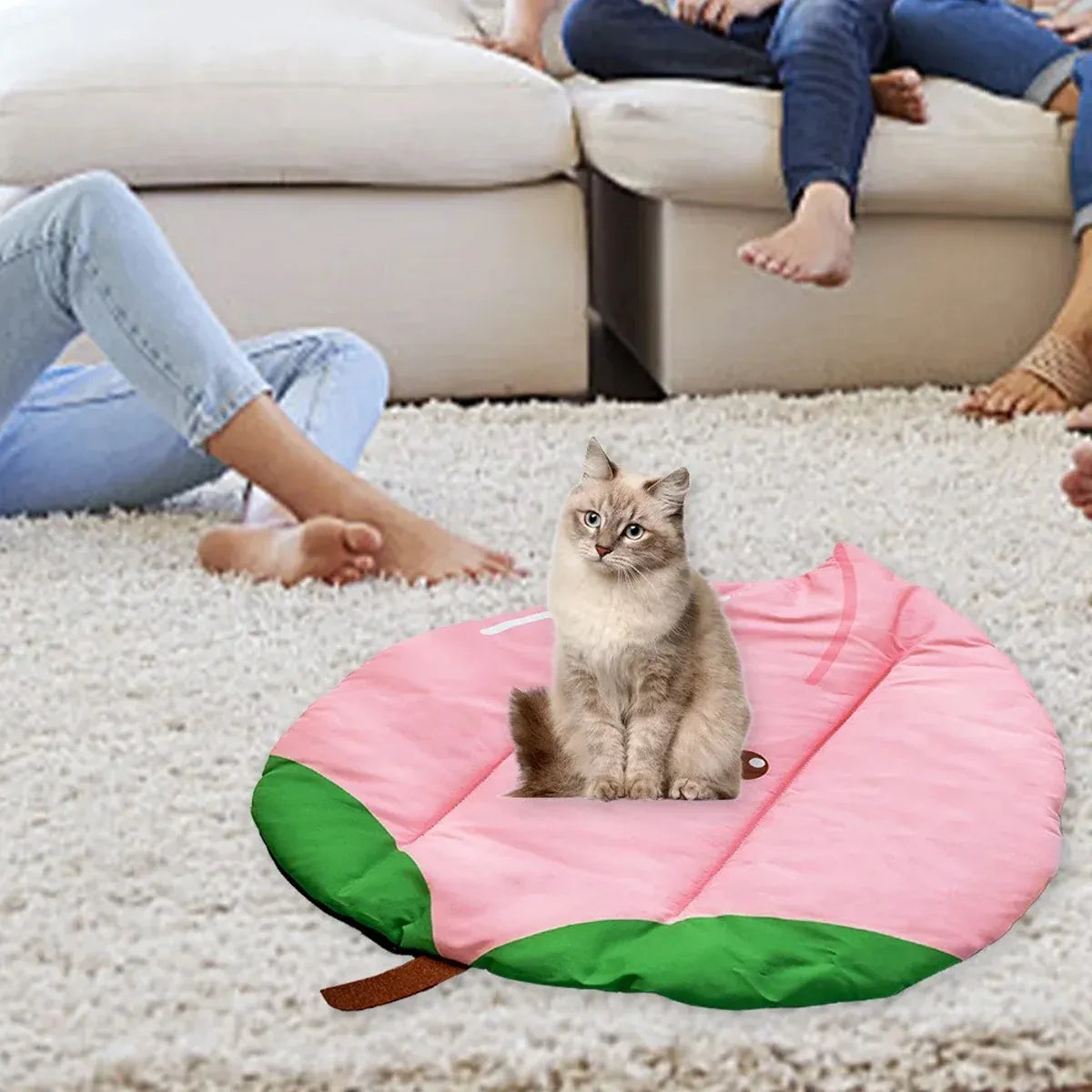 Pet Sleeping Mat Waterproof Moisture Proof Stain Resistant Non Slip Washable - Apple