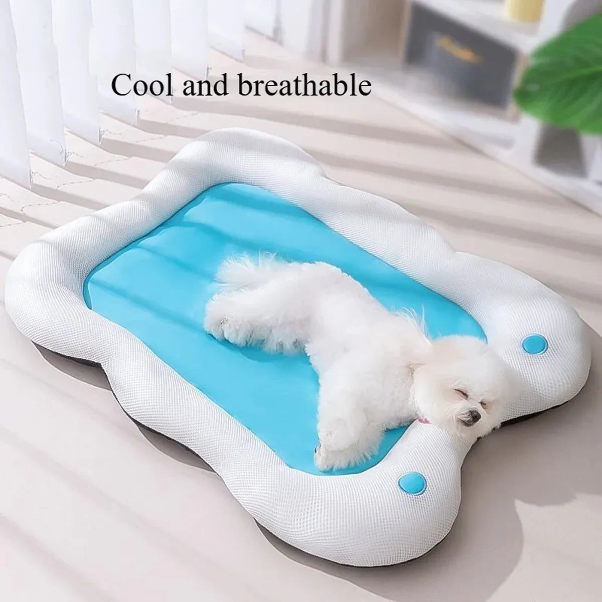 Soft Pet Bed for Dogs and Cats Washable Cushion Kennel Indoor Sleeping Mat Use - L