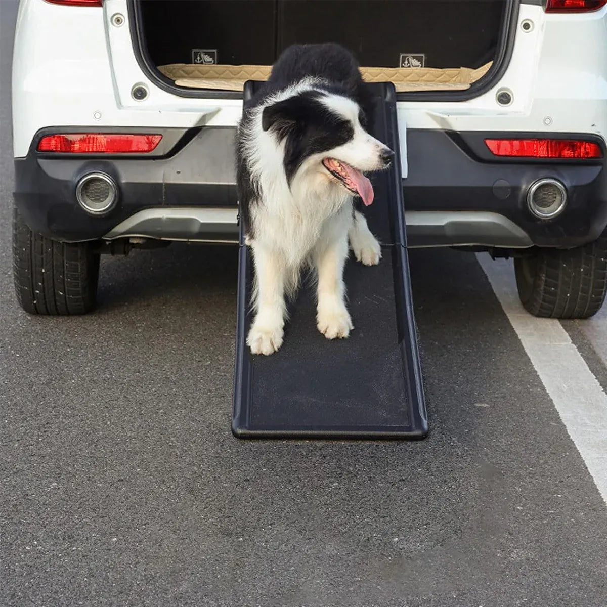 Pet Folding Stair Ladder Step Black Portable Dog Ramp Car Travel Stairs Steps