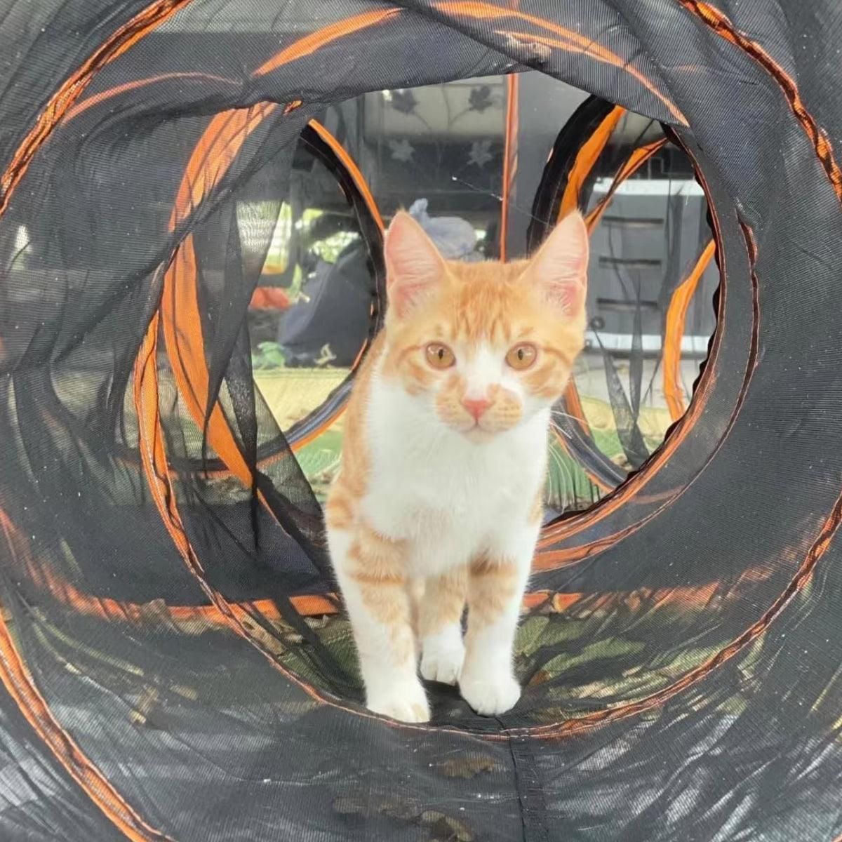 4pcs Outdoor Pet Enclosure Dog Cat Folding Tunnel Italian Combination Tent