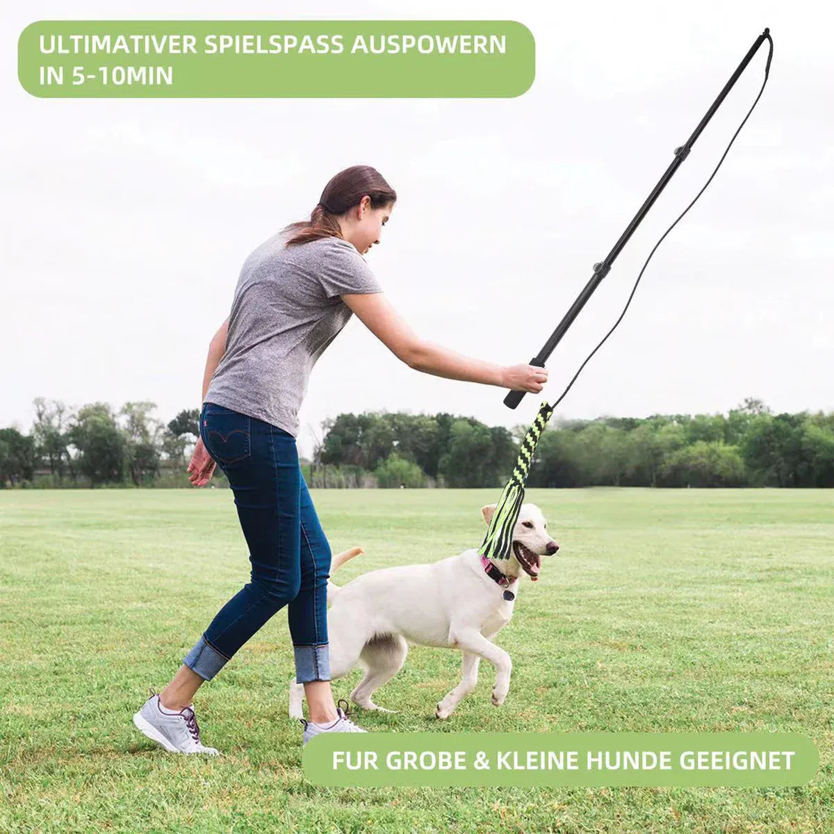 Retractable Dog Teaser Stick Dog Teaser Pole Toy For Dogs Interactive Pet Play