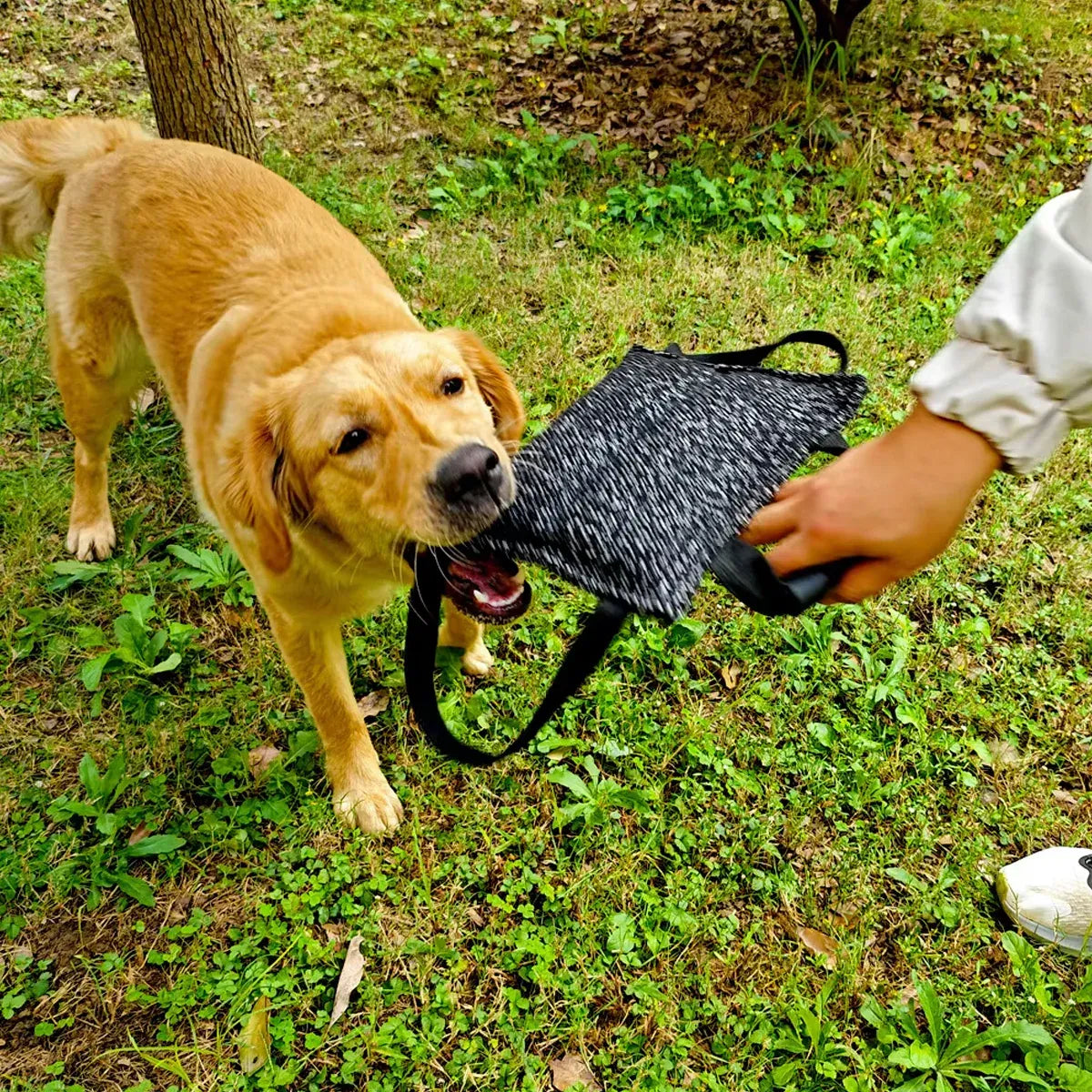 Pet Chew Pillow Tug Toy Durable Material Interactive Training Toy Dogs Chew Play