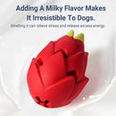 Dragon Fruit Shaped Dog Chew Toy Durable Health for Puppy Small Medium Dogs