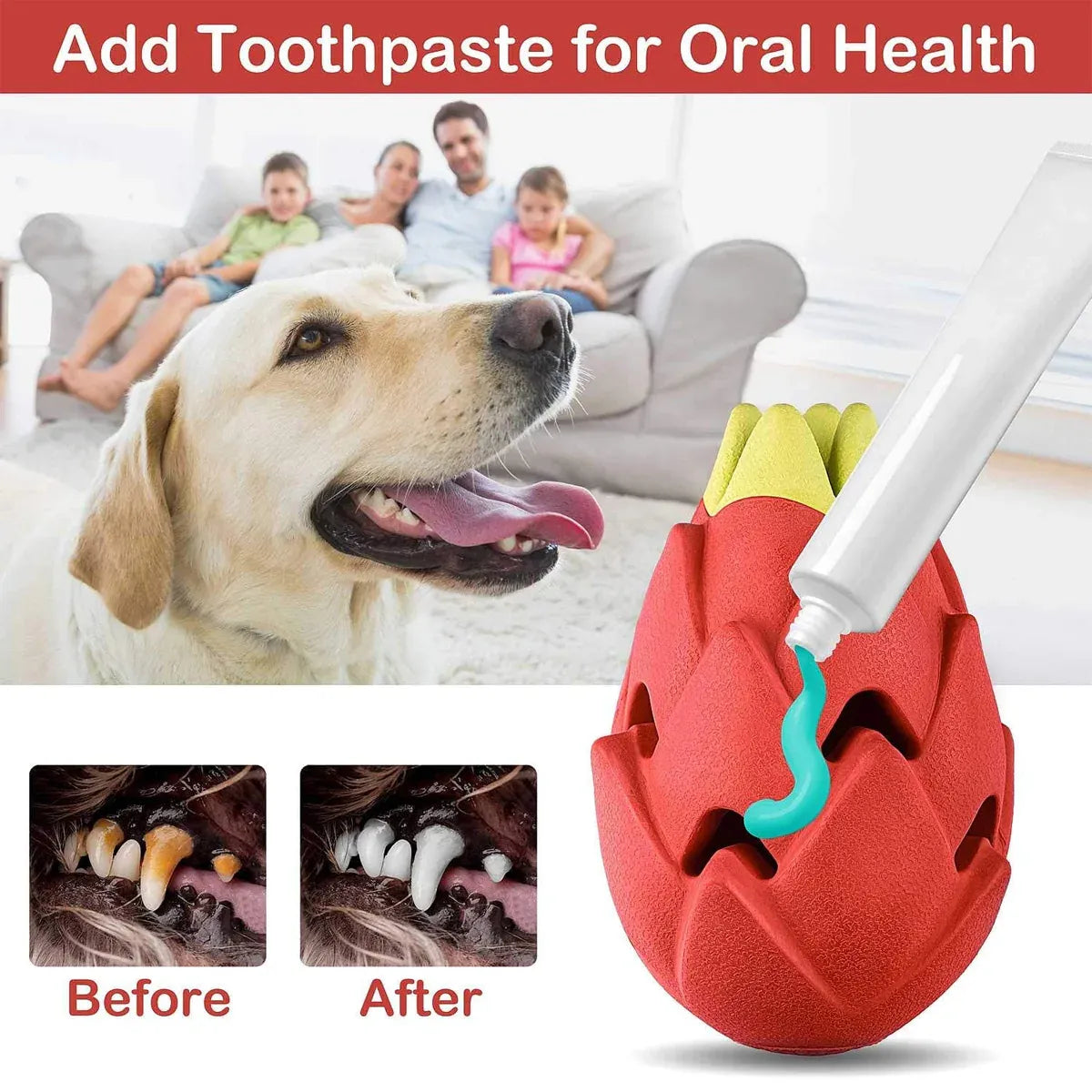 Dragon Fruit Shaped Dog Chew Toy Durable Health for Puppy Small Medium Dogs