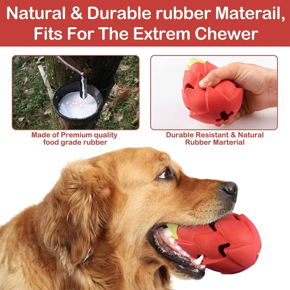 Dragon Fruit Shaped Dog Chew Toy Durable Health for Puppy Small Medium Dogs