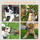 Pet Dog Chew Toy Interactive Sound Making Molar Training Toy Teeth Cleaning Play