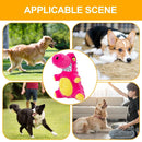 Dog Plush Squeaky Toy Interactive Boredom Relief Chew Resistant Pet Supplies