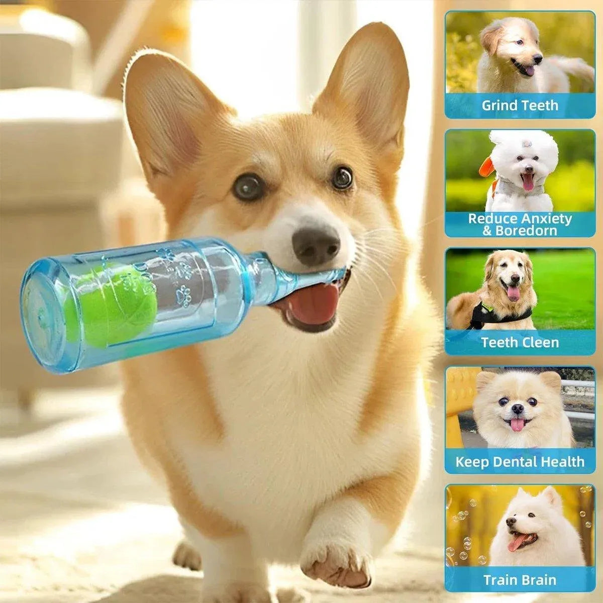 Durable Pet Teething Resistant Tennis Ball Wine Bottle Chew Toy for Dogs Play - Blue-L