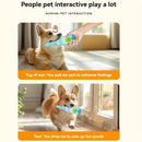 Durable Pet Teething Resistant Tennis Ball Wine Bottle Chew Toy for Dogs Play - Red-L