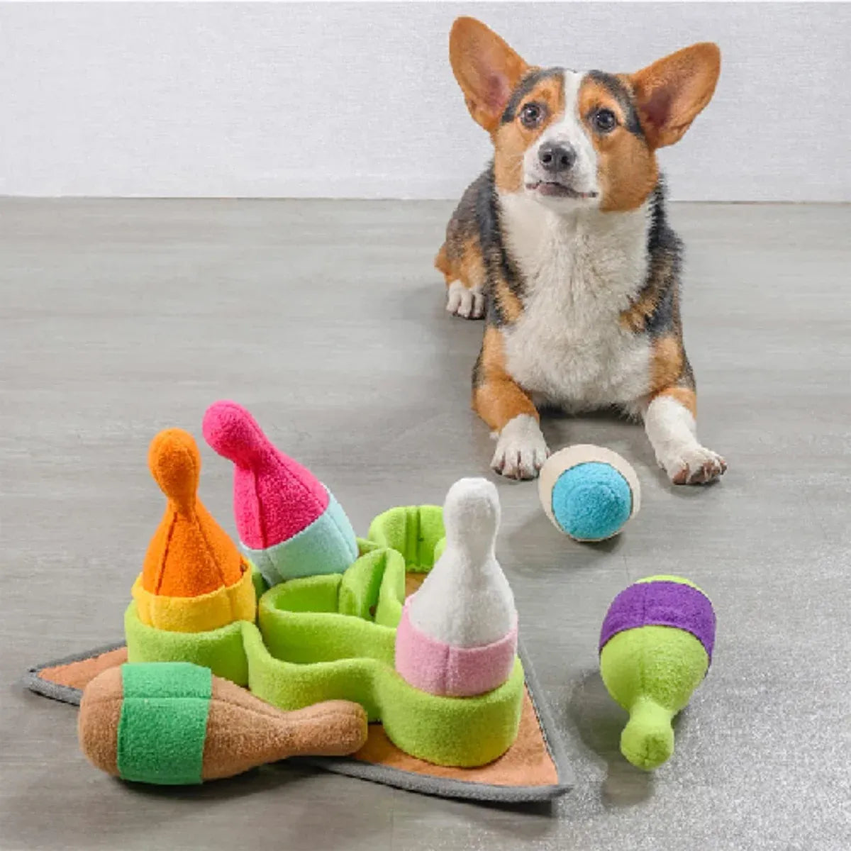 Dog Snuffle Chew Toy with Hidden Food Dispenser Interactive Training Puzzle Set