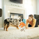 Foldable Pet Sniffing Mat Non Slip Fabric Anti Tear Durable for Dog Cat Training