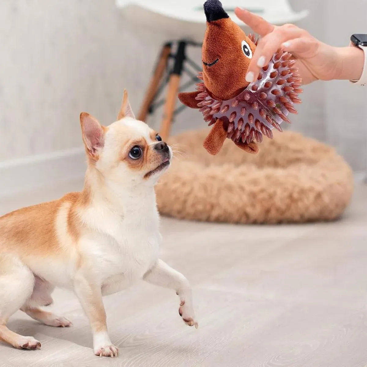 Dog Toy Rubber Spiky Ball Squeaky Chew Sound Interactive Pet Play Training - Turtle