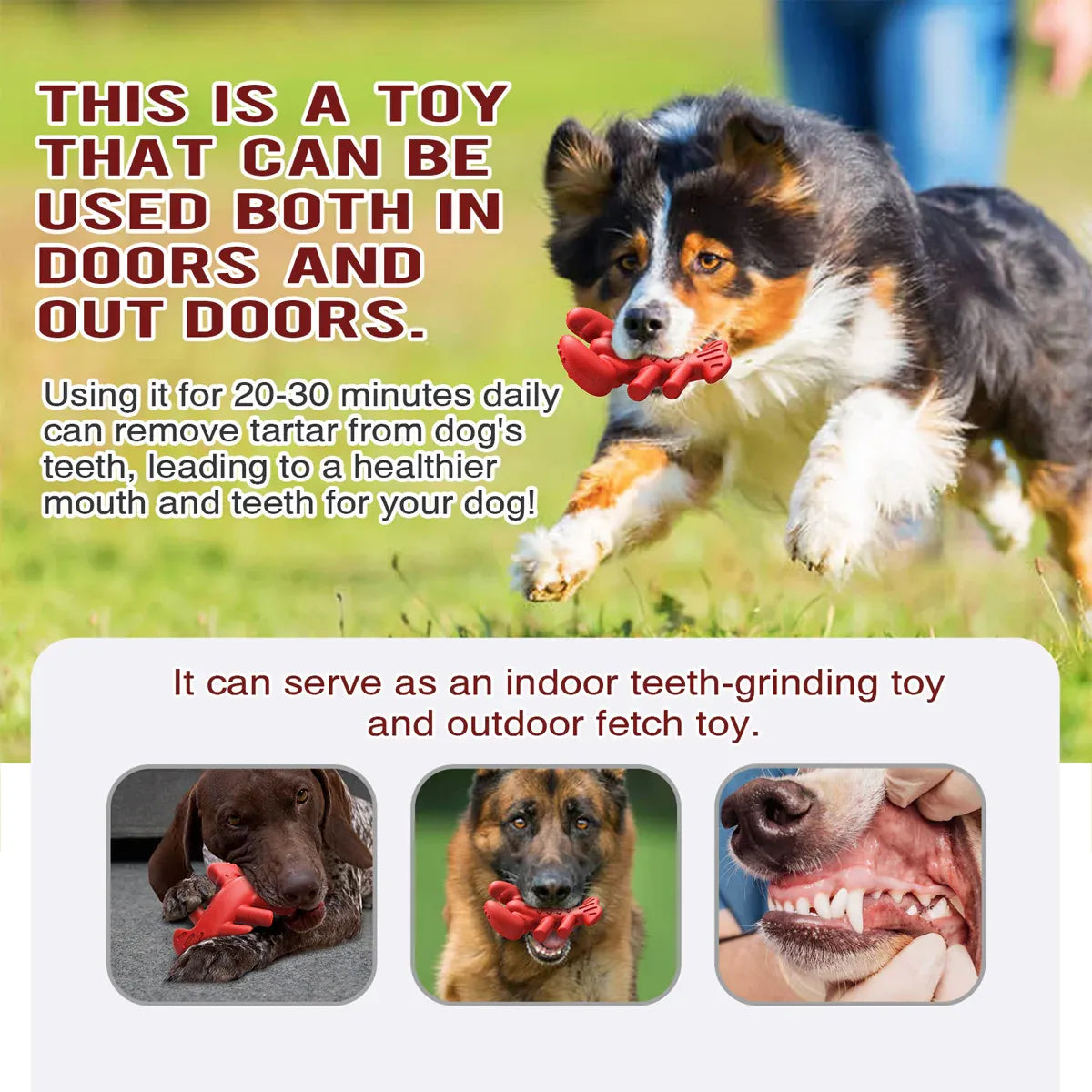 Dog Chew Toy Lobster Shape Teething Stick Durable Bite Toy for Puppy Pet Dental