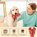 Dog Chew Toy Lobster Shape Teething Stick Durable Bite Toy for Puppy Pet Dental
