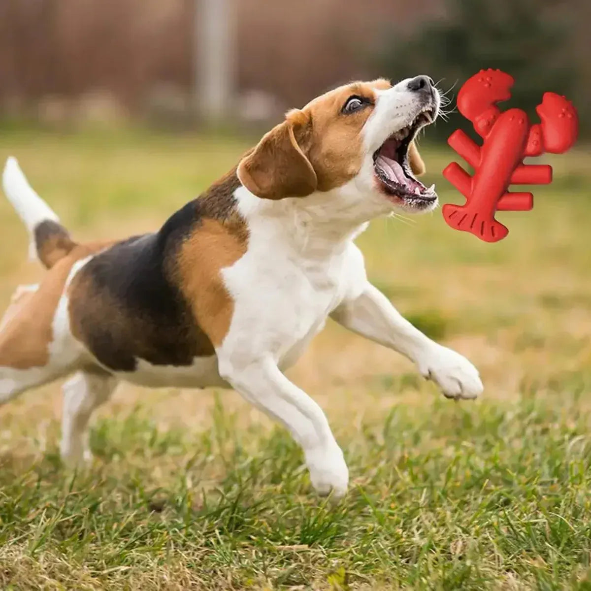 Dog Chew Toy Lobster Shape Teething Stick Durable Bite Toy for Puppy Pet Dental