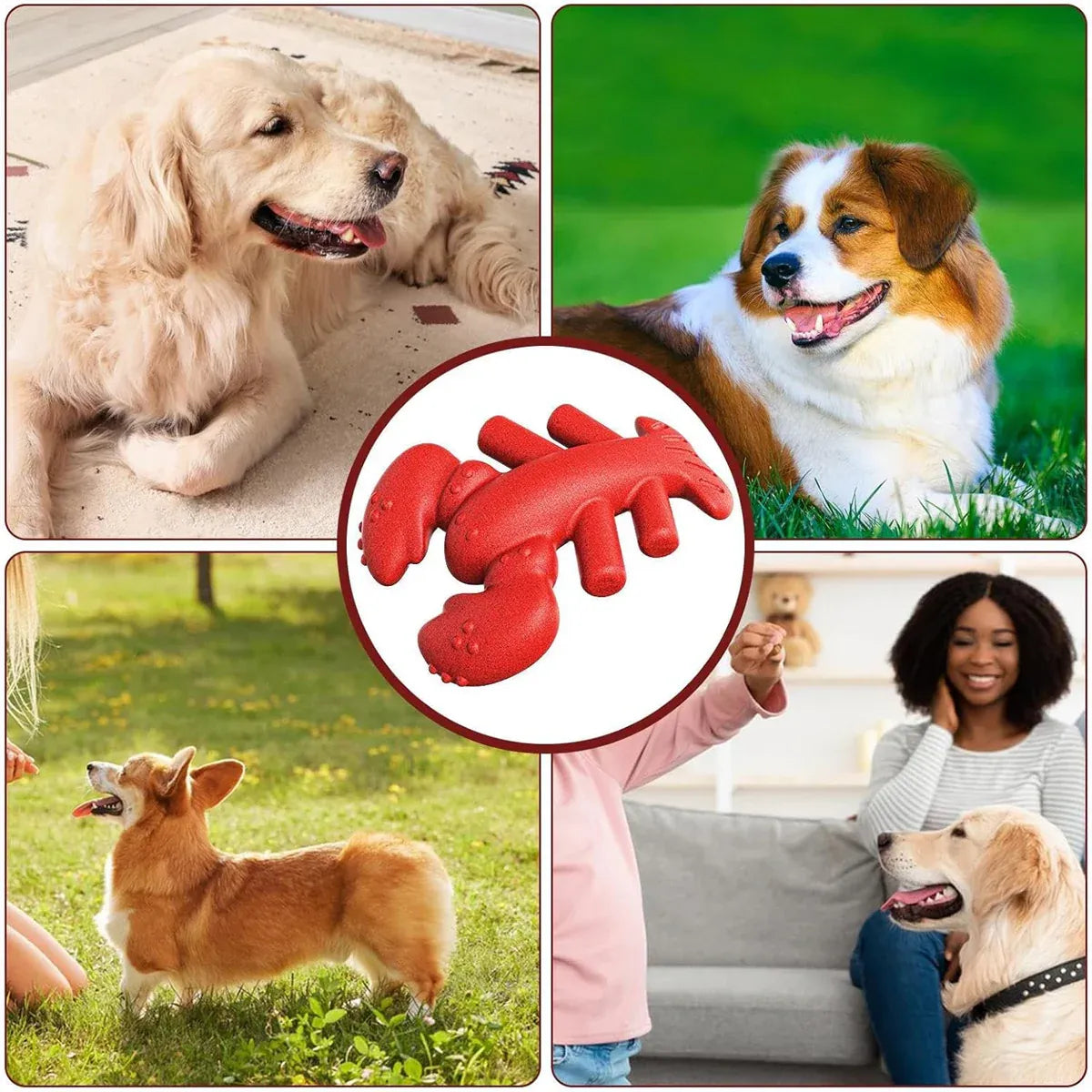 Dog Chew Toy Lobster Shape Teething Stick Durable Bite Toy for Puppy Pet Dental