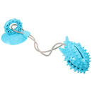 Dog Chew Toys Durable Non Toxic TPR Material for Dogs Puppies Teething Training