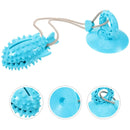 Dog Chew Toys Durable Non Toxic TPR Material for Dogs Puppies Teething Training