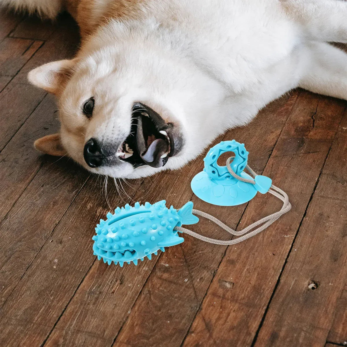 Dog Chew Toys Durable Non Toxic TPR Material for Dogs Puppies Teething Training